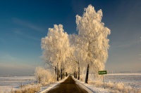 Winterliche Landschaft in Masuren